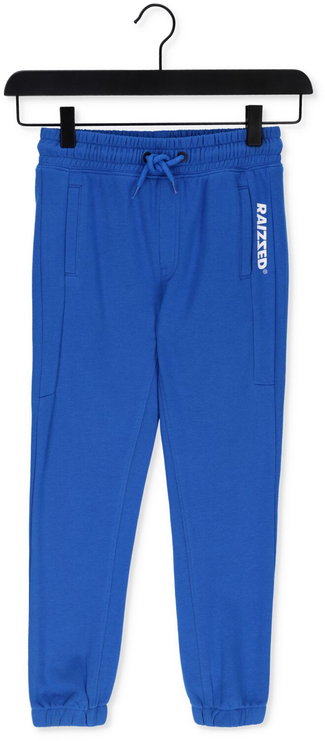 Blauwe Raizzed Joggingbroek Stephens