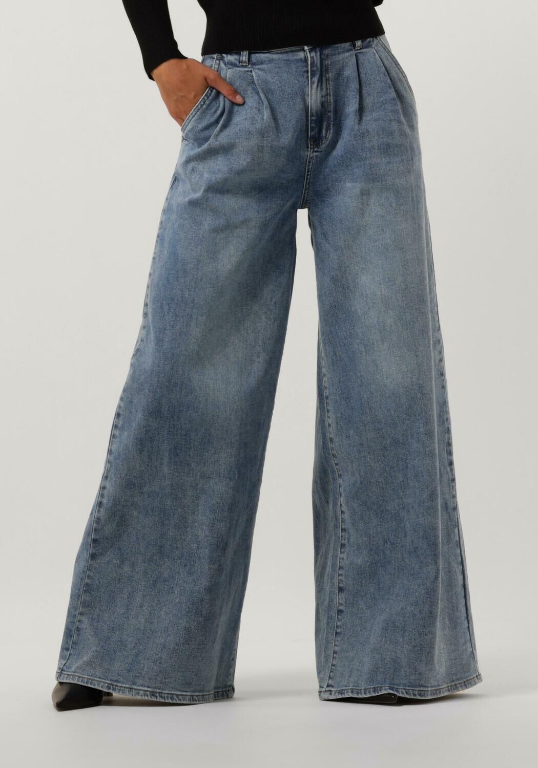 Blauwe Janice Wide Jeans Jeans Wijde Pijp Dames Dollar