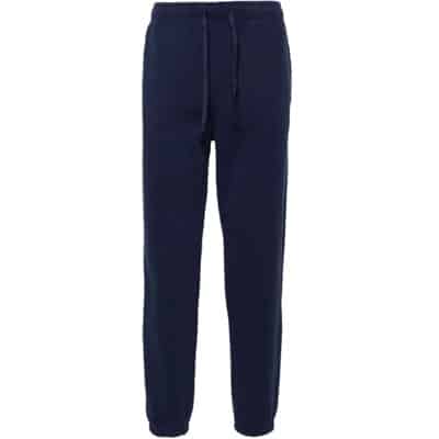 Blauwe Trainingsbroek met Geborduurd Logo Polo Ralph Lauren , Blue , Heren