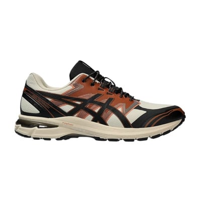 Gel-Terrain Schoen Asics , Multicolor , Heren