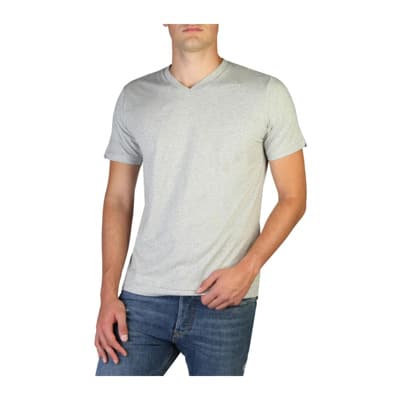 Heren Logo V-Hals Katoenen T-Shirt Diesel , Gray , Heren