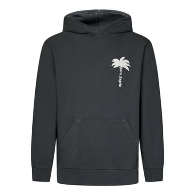 Hoodies Palm Angels , Gray , Heren