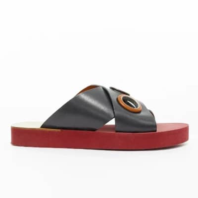 Pre-owned Plastic sandals Chloé Pre-owned , Multicolor , Dames